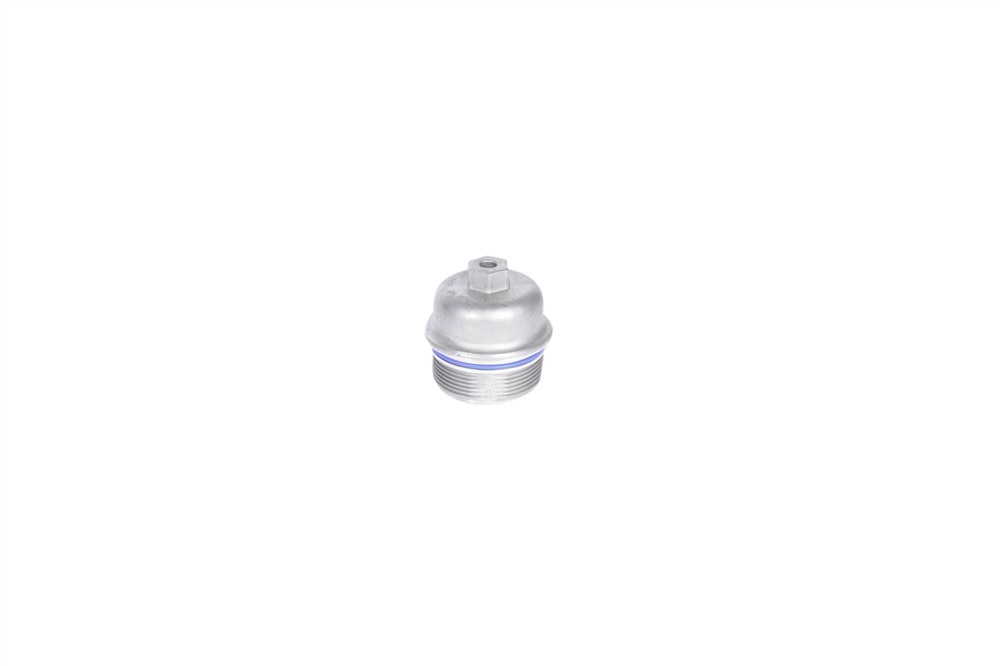 GM Genuine Parts Engine Oil Filter, Cap, and Cap Seal (O-Ring)
