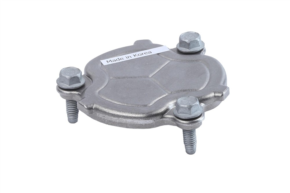 GM Genuine Parts Engine Cylinder Head Opening Plate