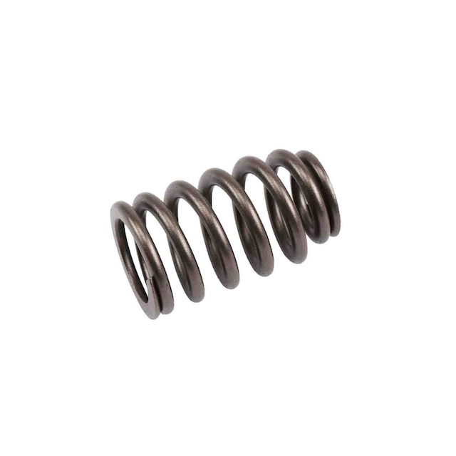 GM Genuine Parts Engine Valve Spring