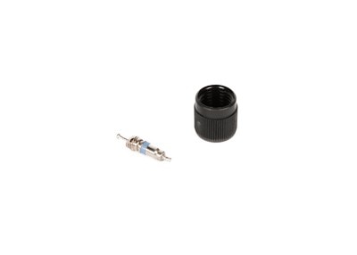 GM Genuine Parts Fuel Injection Fuel Pressure Service Kit with Valve and Cap