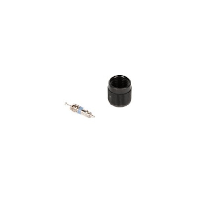 GM Genuine Parts Fuel Injection Fuel Pressure Service Kit with Valve and Cap