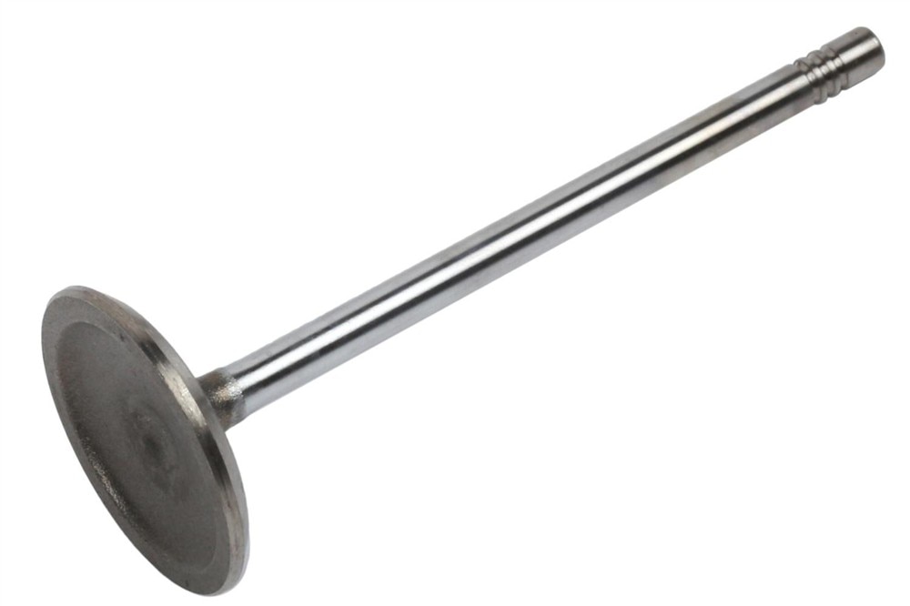 GM Genuine Parts Engine Intake Valve