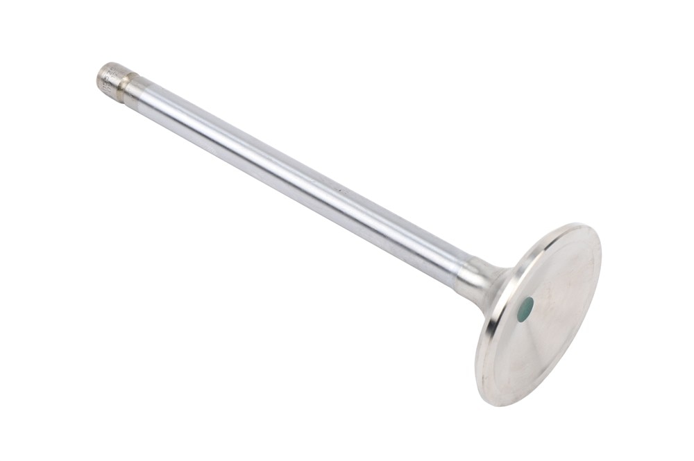 GM Genuine Parts LS Exhaust Valve