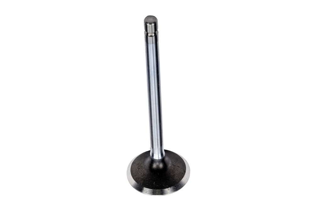 GM Genuine Parts Engine Exhaust Valve