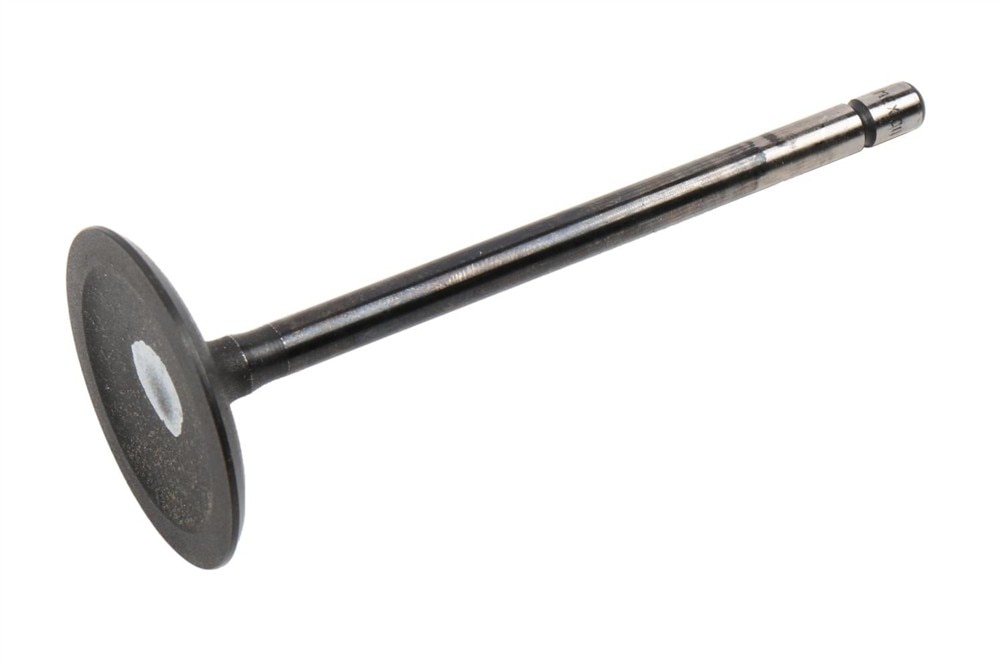 GM Genuine Parts Engine Intake Valve