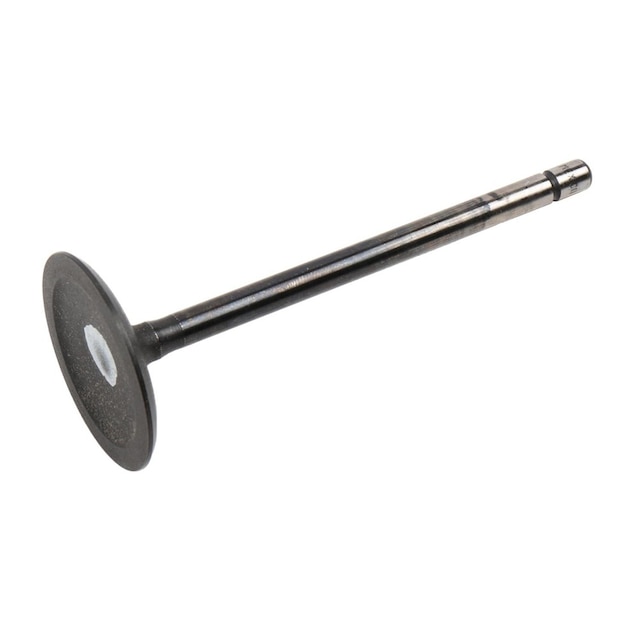 GM Genuine Parts Engine Intake Valve