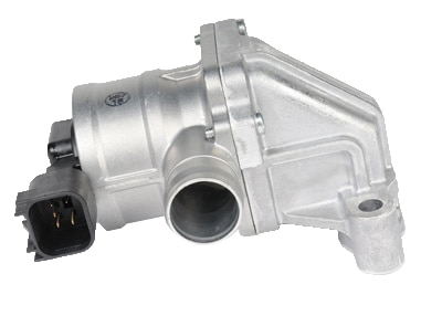GM Genuine Parts Air Injection Valve