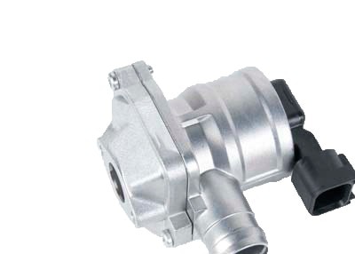 GM Genuine Parts Air Injection Valve