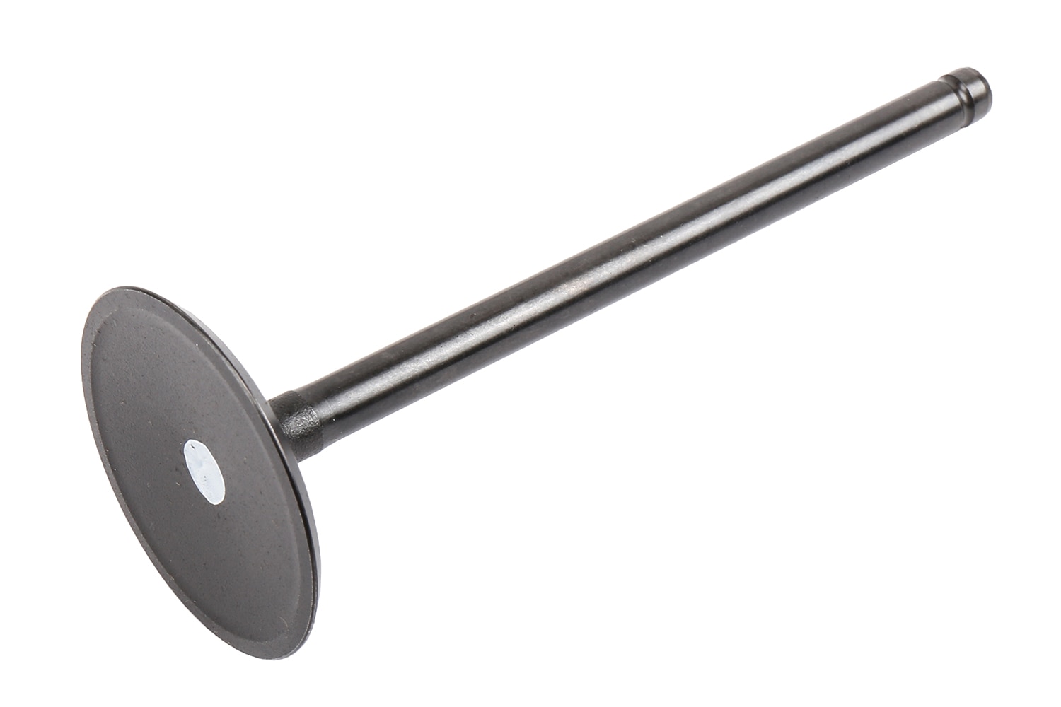 GM Genuine Parts Engine Intake Valve