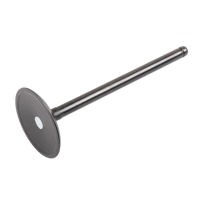 GM Genuine Parts Engine Intake Valve