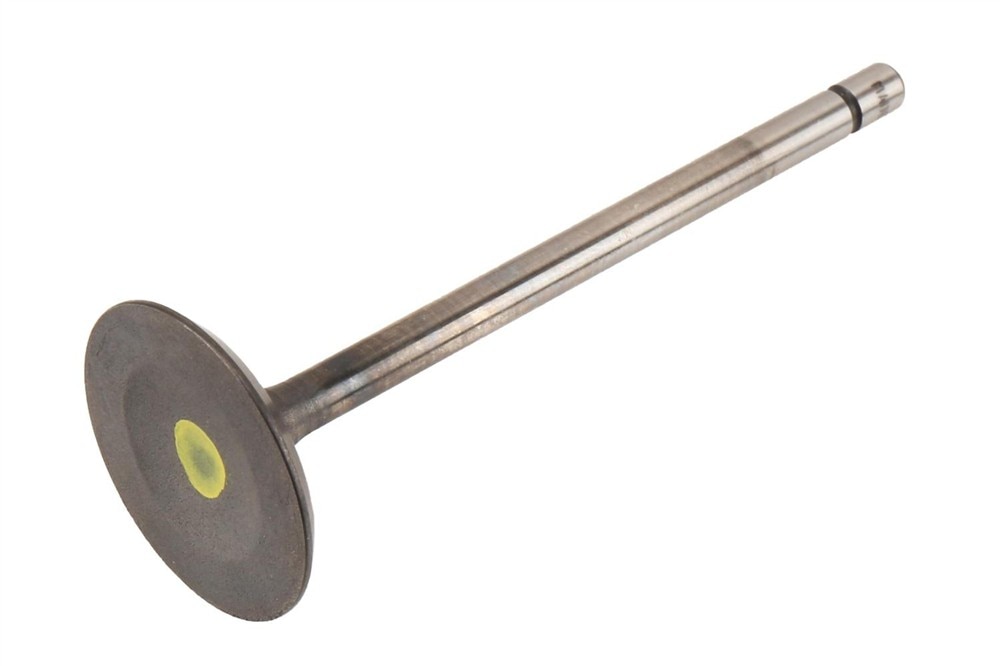 GM Genuine Parts Engine Intake Valve