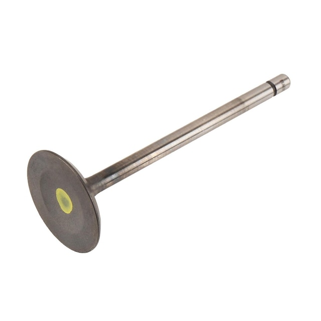 GM Genuine Parts Engine Intake Valve