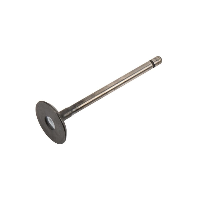 GM Genuine Parts Engine Exhaust Valve