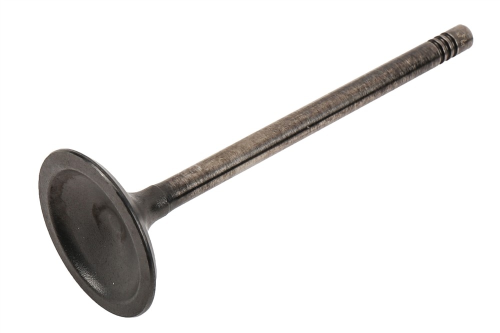 GM Genuine Parts Engine Intake Valve