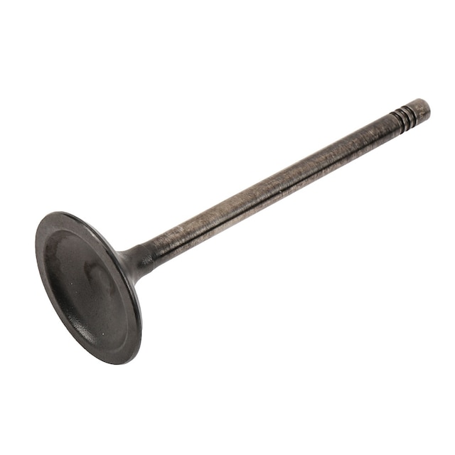 GM Genuine Parts Engine Intake Valve