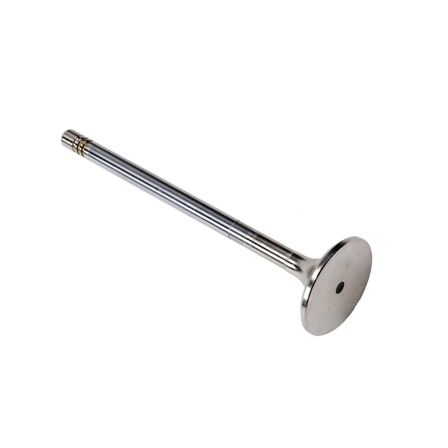 GM Genuine Parts Engine Exhaust Valve