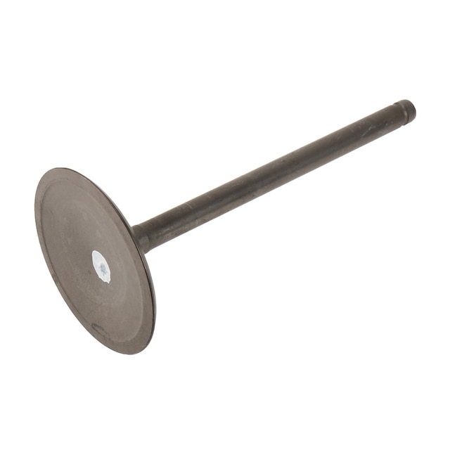 GM Genuine Parts L92 Intake Valve