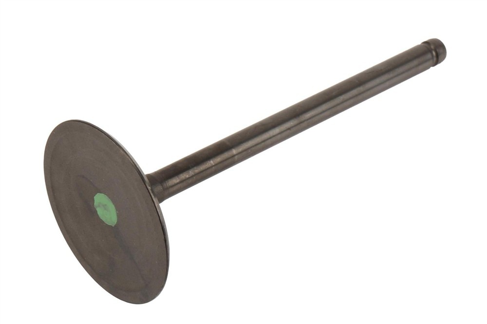 GM Genuine Parts Engine Intake Valve