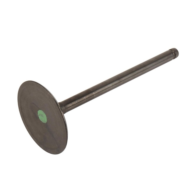 GM Genuine Parts Engine Intake Valve