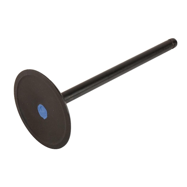 GM Genuine Parts Engine Intake Valve