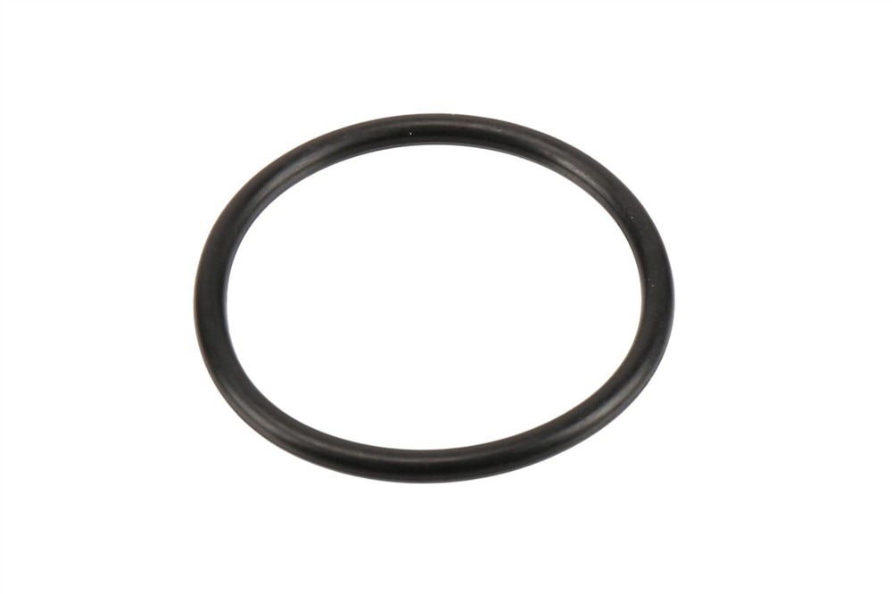GM Genuine Parts Engine Oil Pump Screen Seal