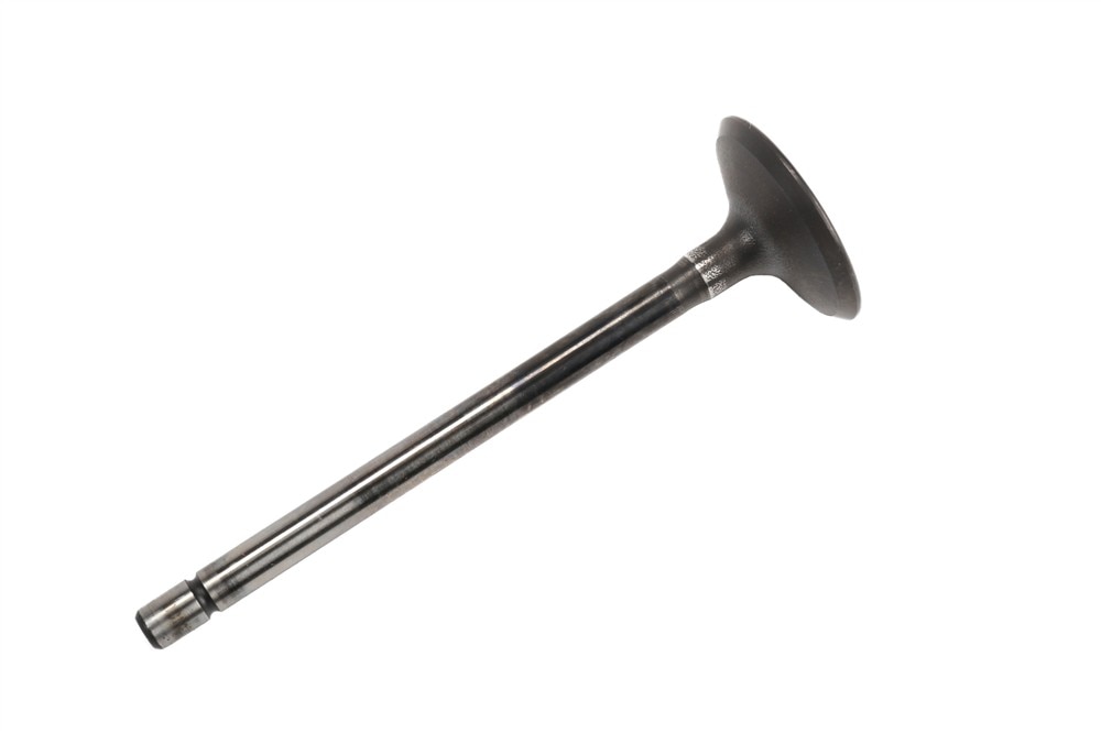 GM Genuine Parts Engine Exhaust Valve