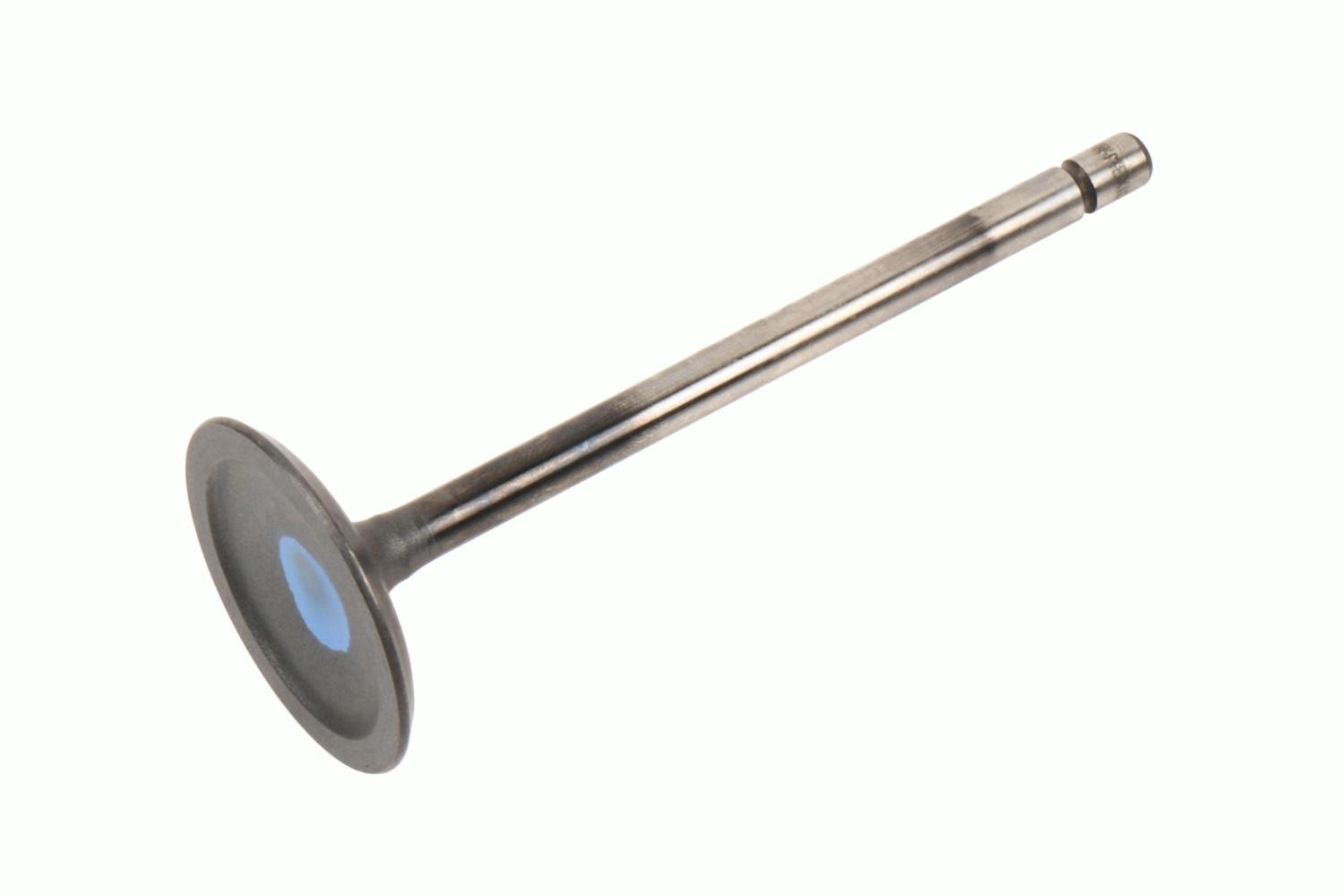 GM Genuine Parts Engine Intake Valve
