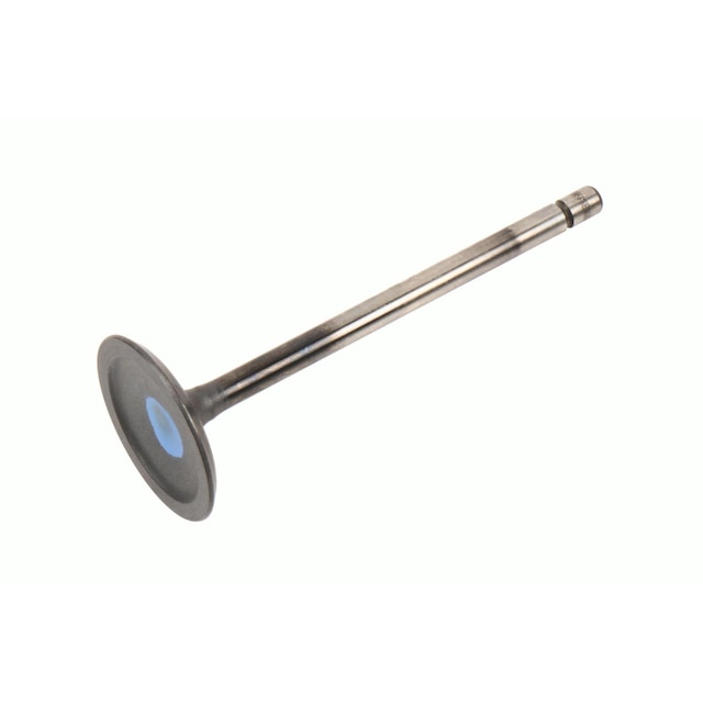 GM Genuine Parts Engine Intake Valve