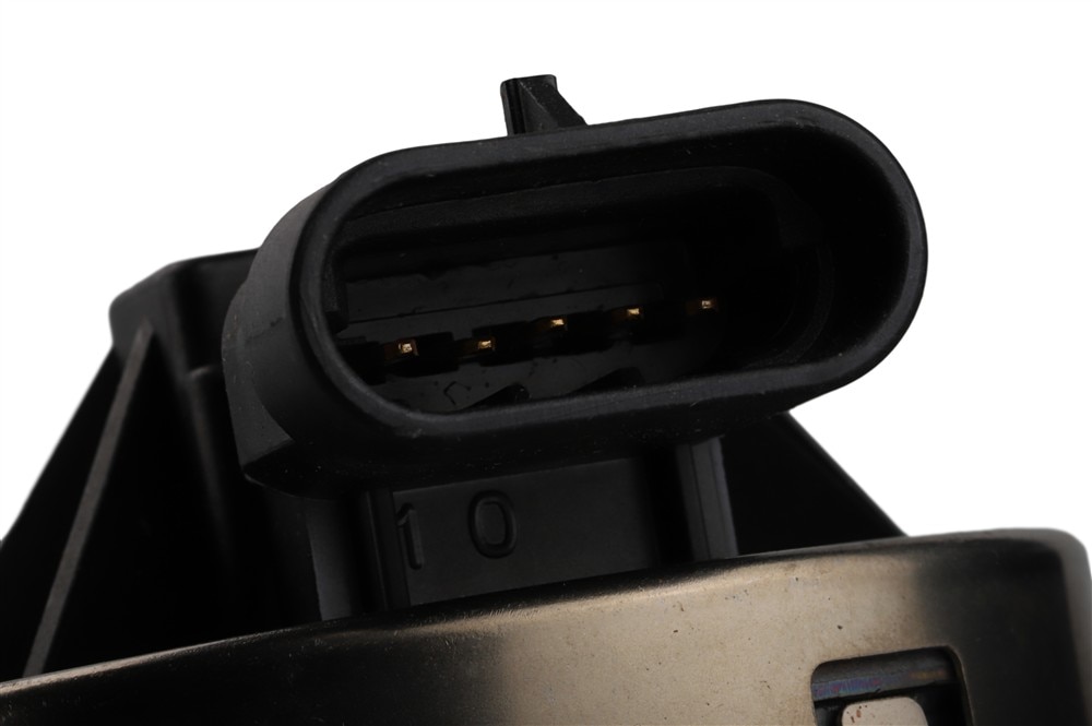 Alternate Image