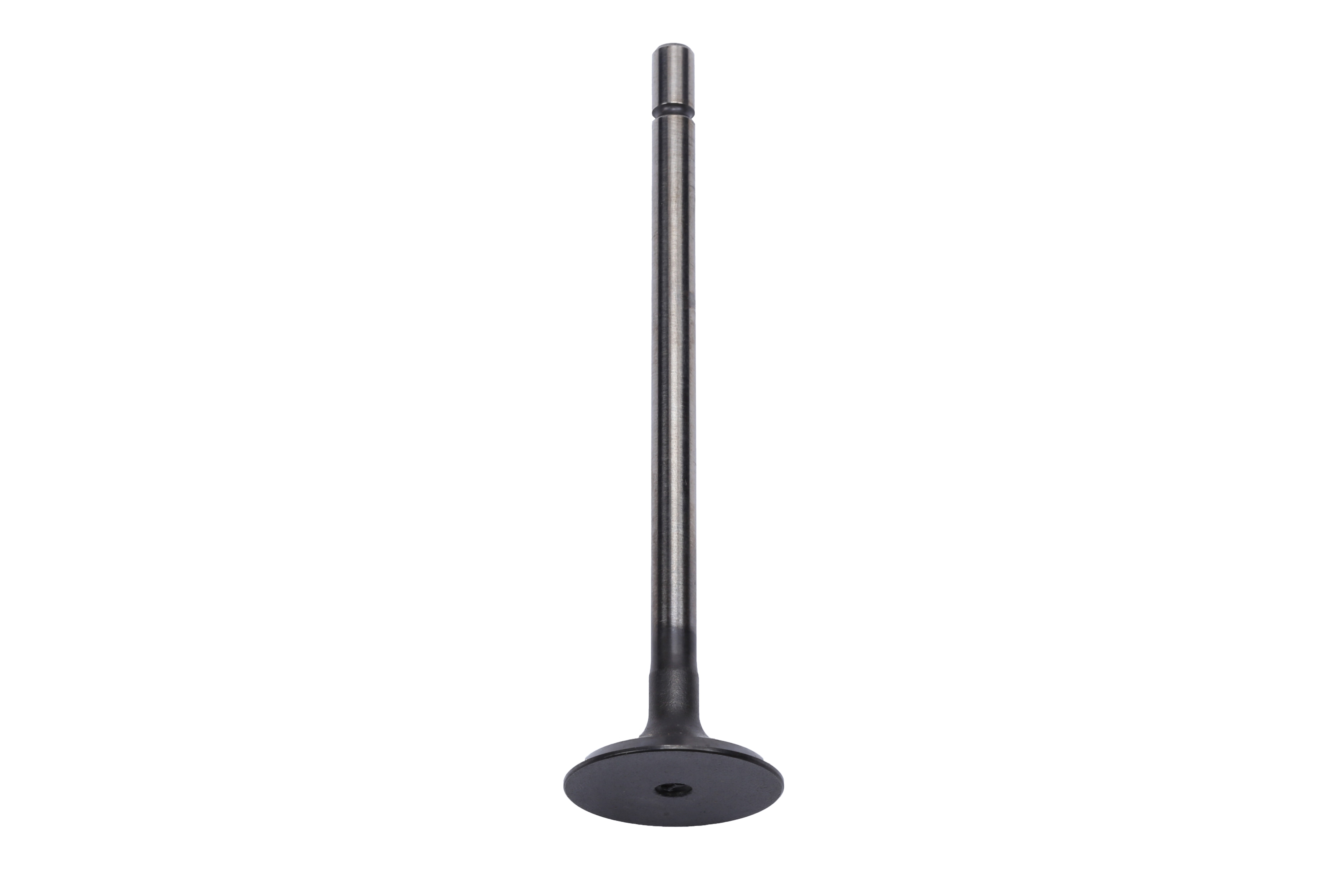 GM Genuine Parts Engine Intake Valve