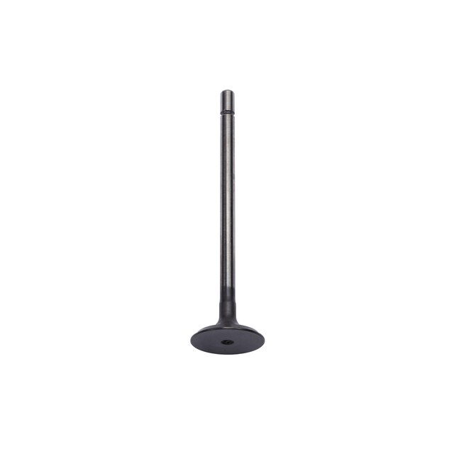 GM Genuine Parts Engine Intake Valve