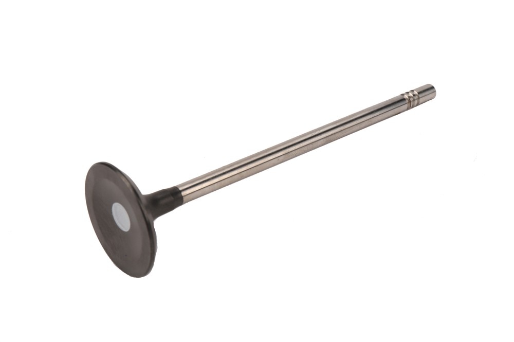 GM Genuine Parts Engine Intake Valve