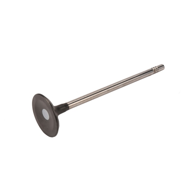 GM Genuine Parts Engine Intake Valve