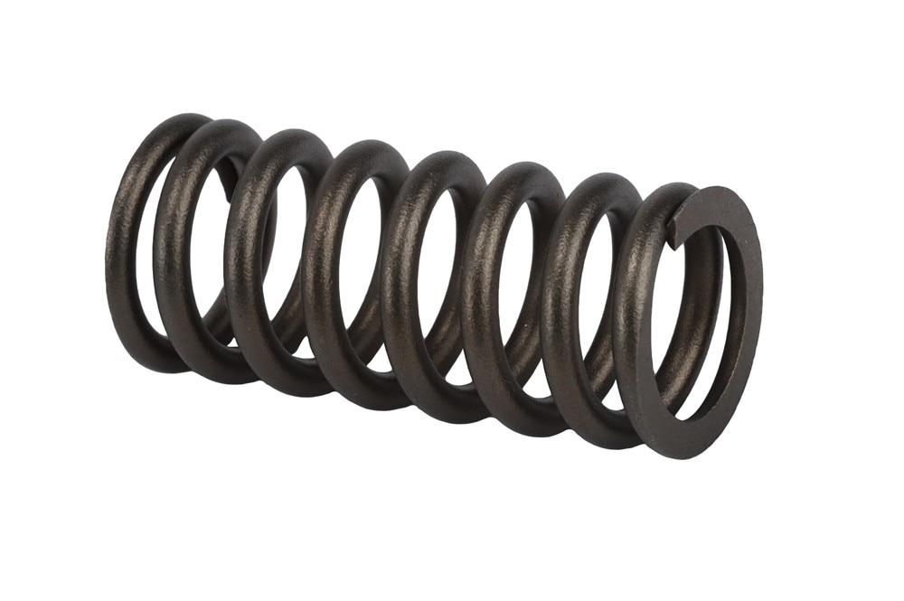 GM Genuine Parts Engine Valve Spring