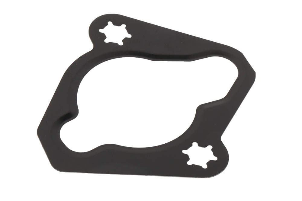 GM Genuine Parts Engine Timing Chain Tensioner Gasket