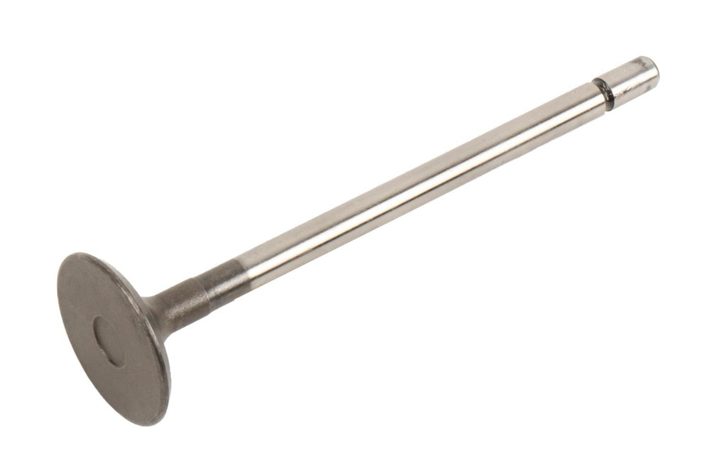 GM Genuine Parts Engine Intake Valve