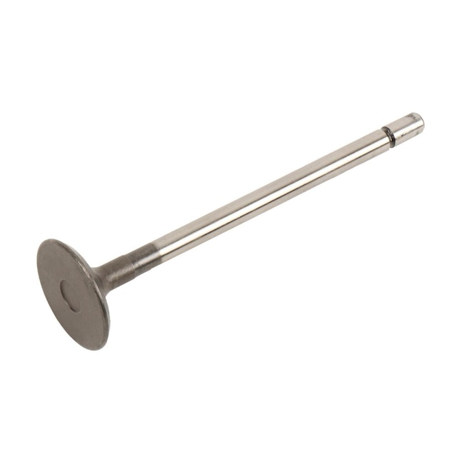 GM Genuine Parts Engine Intake Valve