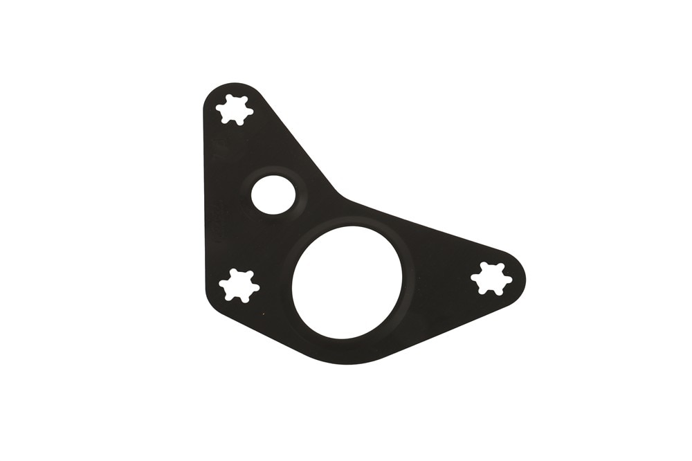 Alternate Image