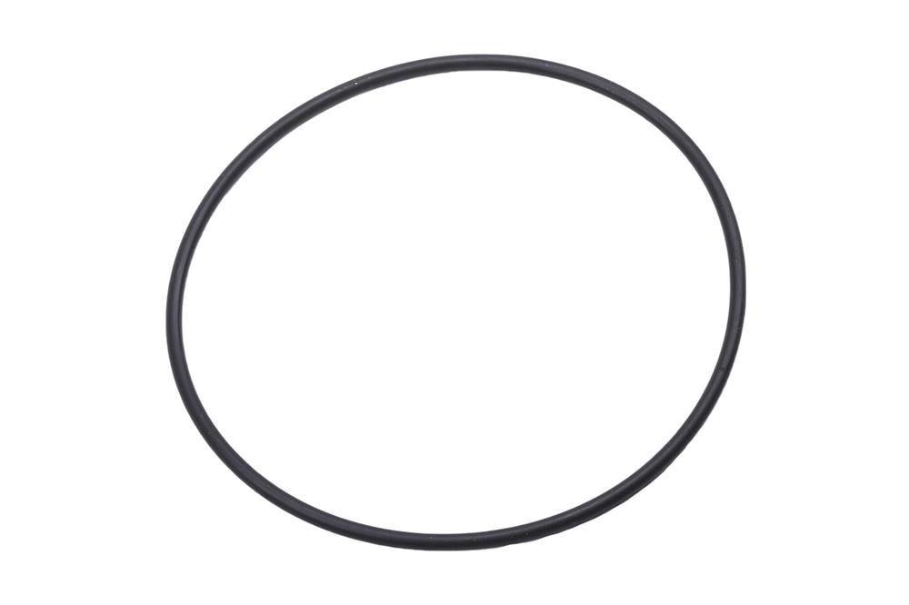 GM Genuine Parts Water Pump Cover Seal