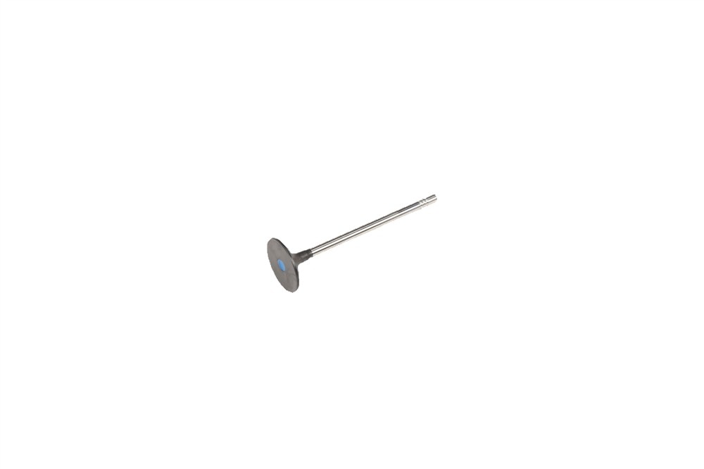 GM Genuine Parts Engine Intake Valve