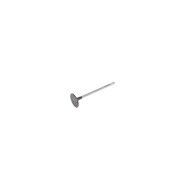 GM Genuine Parts Engine Intake Valve
