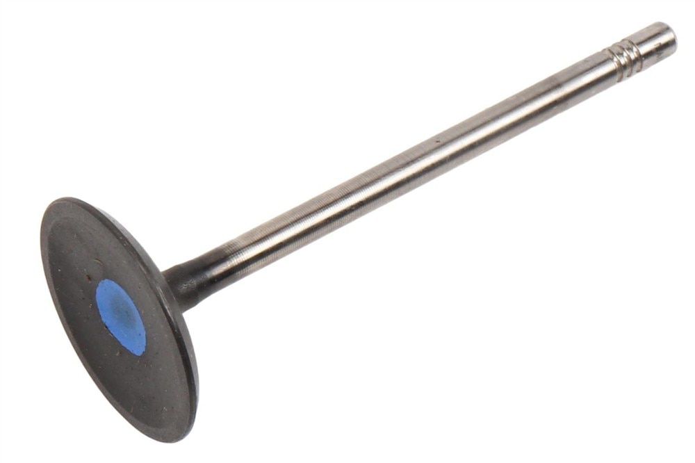 GM Genuine Parts Engine Intake Valve