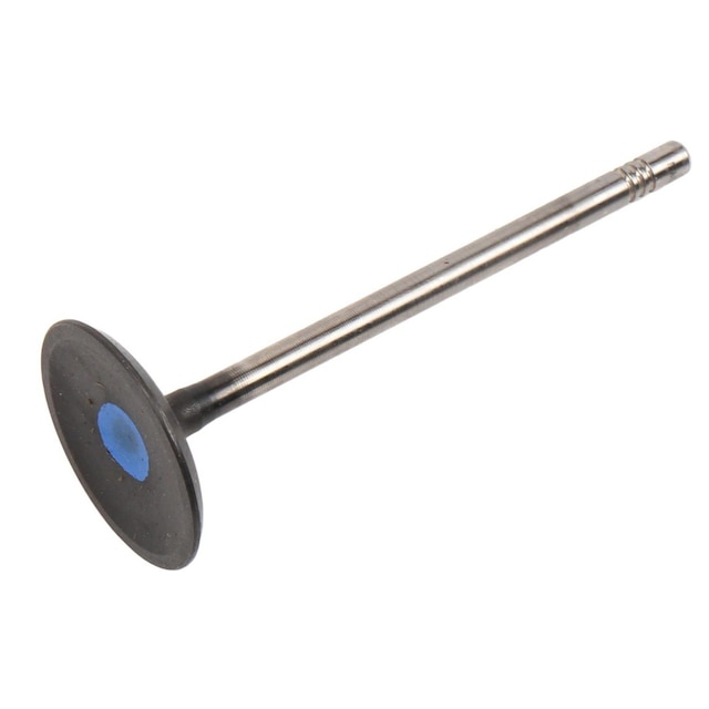 GM Genuine Parts Engine Intake Valve
