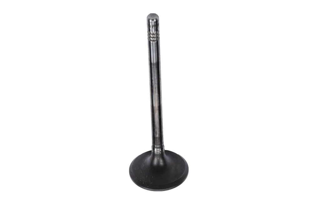 GM Genuine Parts Engine Exhaust Valve
