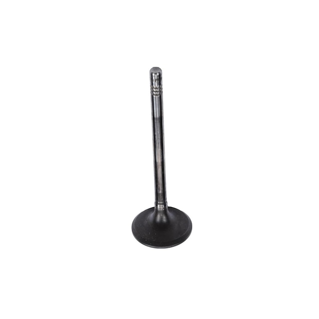 GM Genuine Parts Engine Exhaust Valve