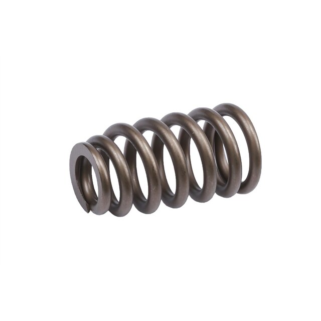 GM Genuine Parts Engine Valve Spring
