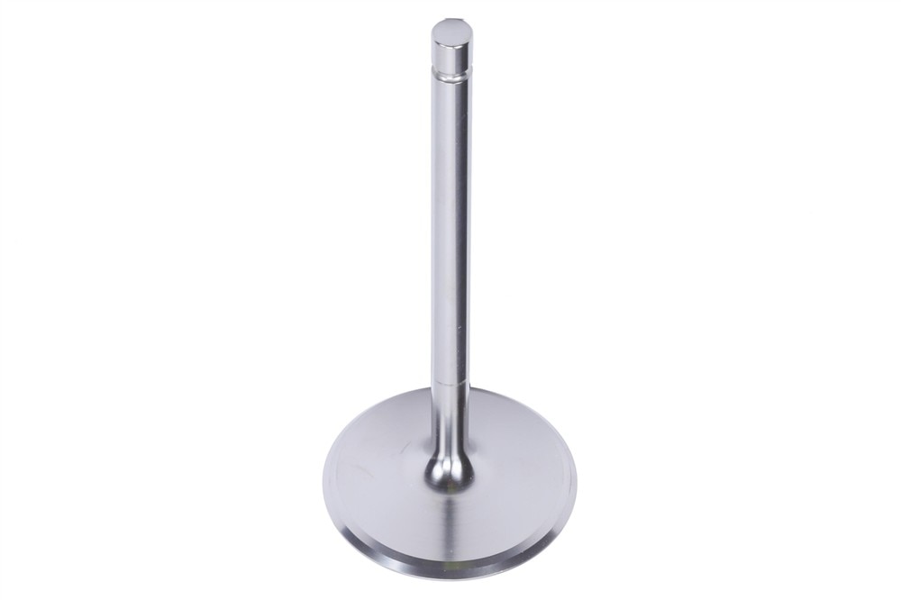 GM Genuine Parts Engine Intake Valve