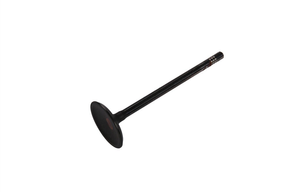 GM Genuine Parts Engine Intake Valve
