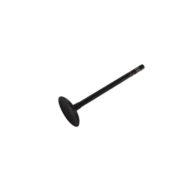 GM Genuine Parts Engine Intake Valve