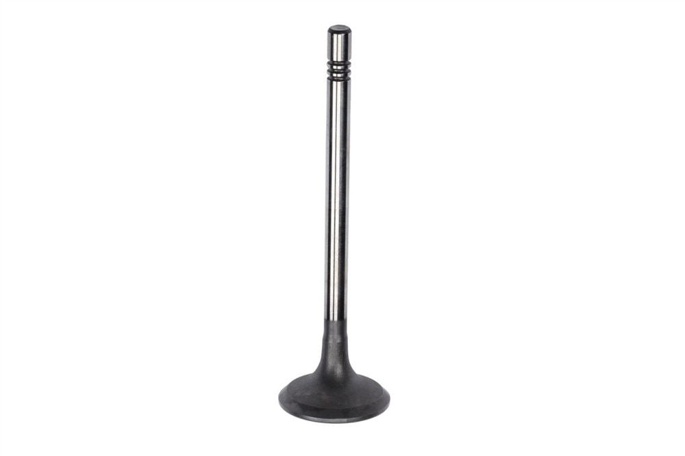 GM Genuine Parts Engine Exhaust Valve
